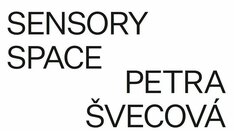 Petra Švecová: Sensory Space