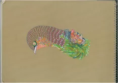 James Prescott / uk From Weltschmerz to Wonderment, Live sound: RSS B0YS / pl