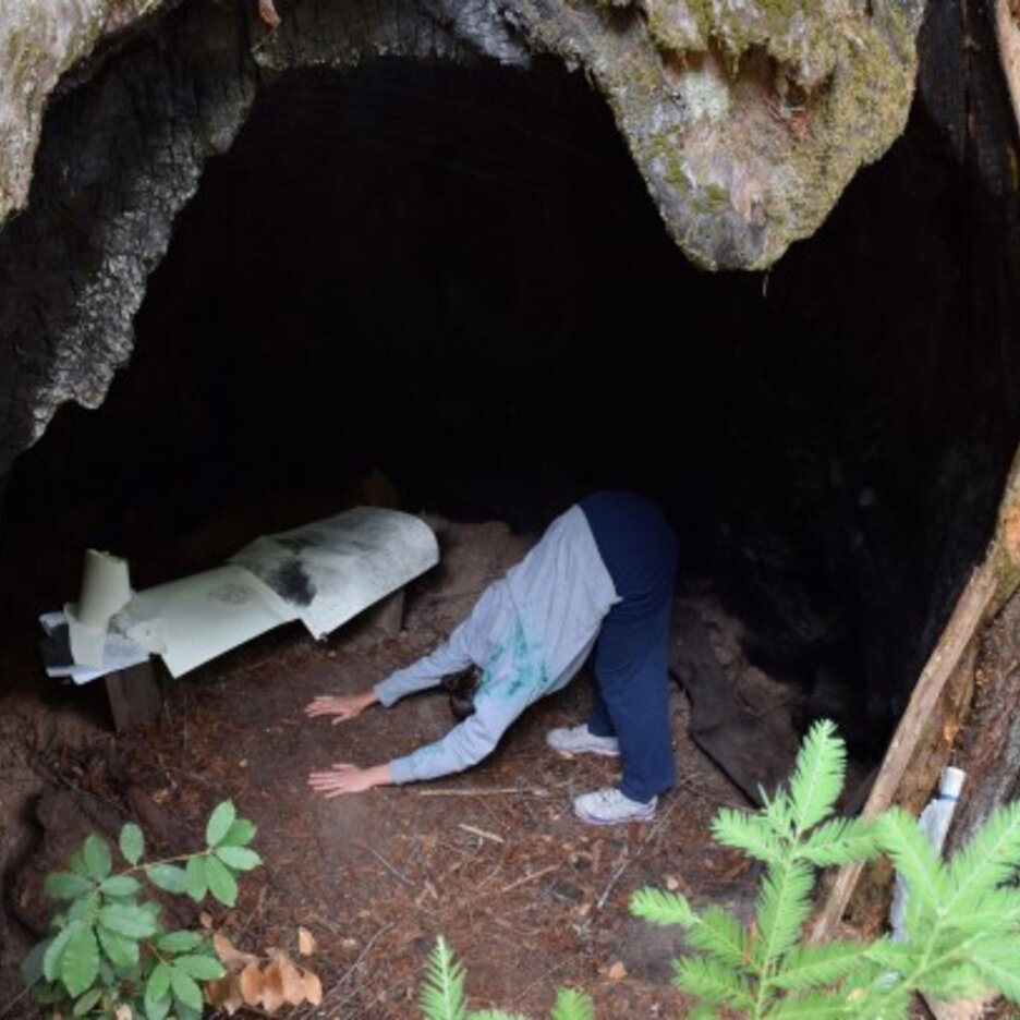 Umelci pracovali prevažne v open air ateliéroch v pohorí Santa Cruz Moutains. Na fotografii zľava Lucia Tallová, Zuzana Žabková a Fero Király vo svojich amerických ateliéroch.